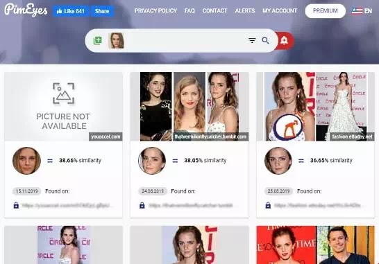 4 Situs Pencari Wajah Untuk Mencari Wajah Di Internet Vraltimes