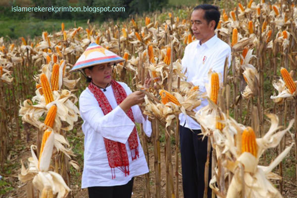 23 Tafsir Mimpi Tentang Jagung Menurut Islam Erek Erek 2d 3d 4d Dan Primbon Jawa Lengkap Islam Erek Erek Primbon