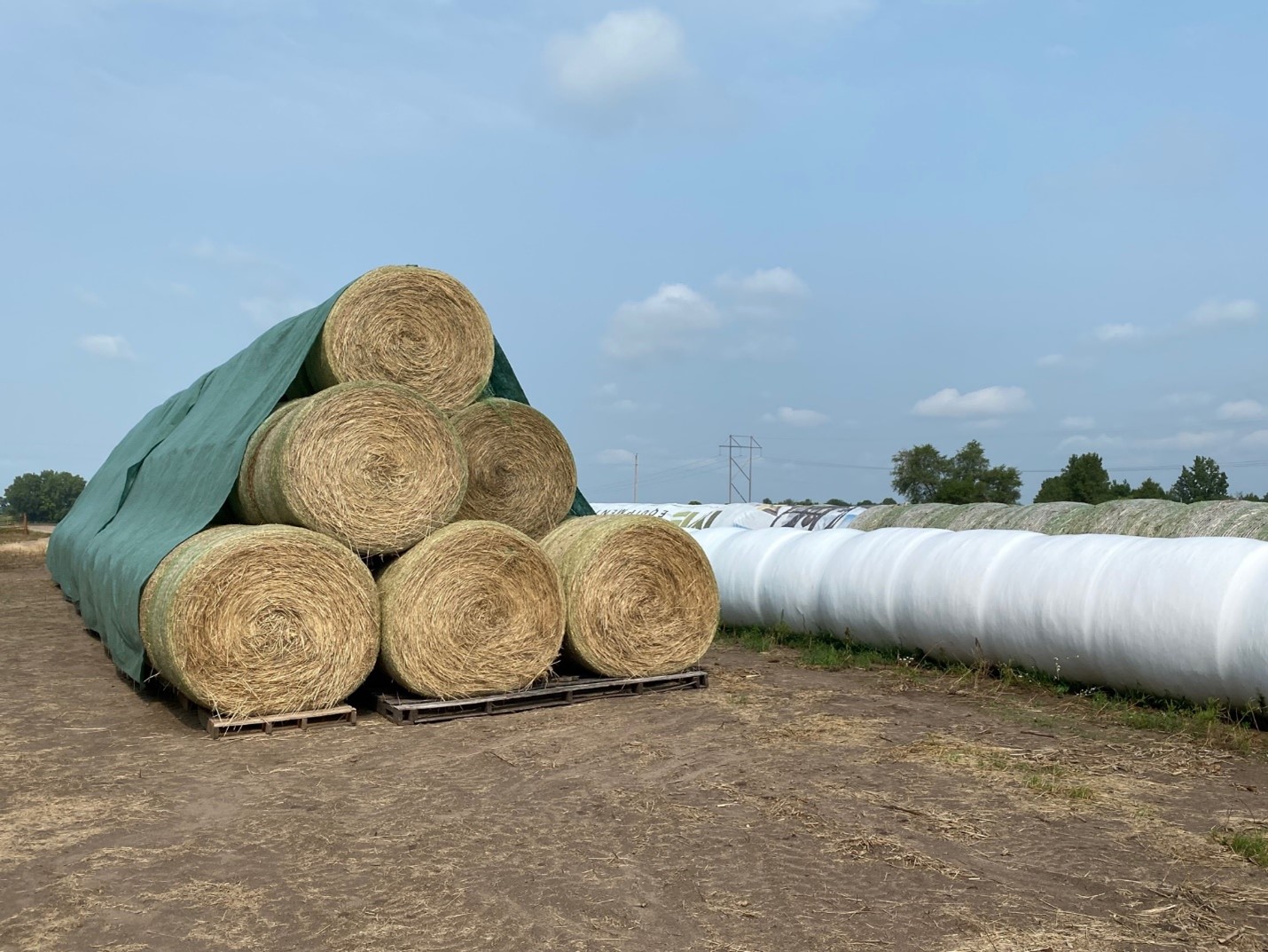 Photo 1. Round hay bales stored using various