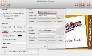swf to video converter pemiere