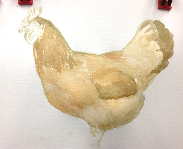 Painting a HenWatercolour demonstration