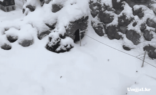 Umjjal_kr_373.gif
