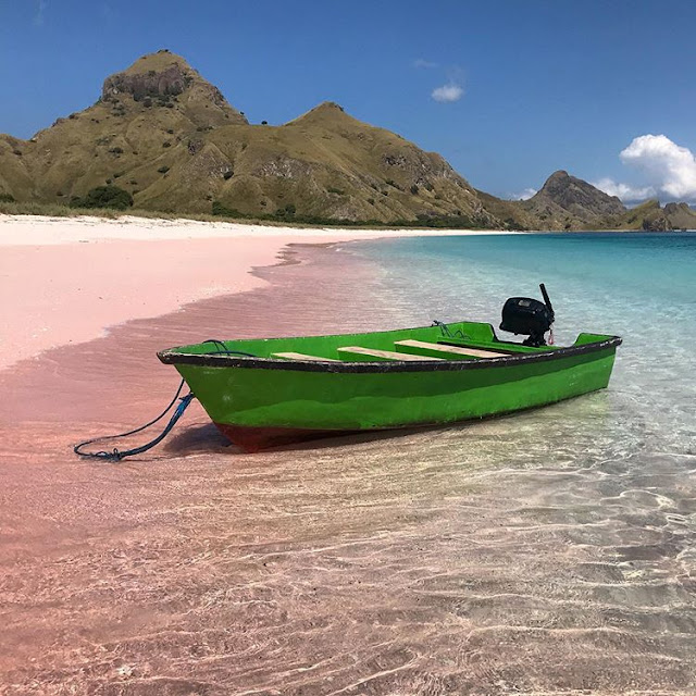 Interesting Information About Pink Beach Labuan Bajo