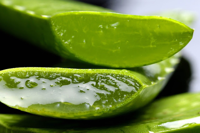 Top 5 Benefits of Using Aloe Vere gel On Your Face for Beauty