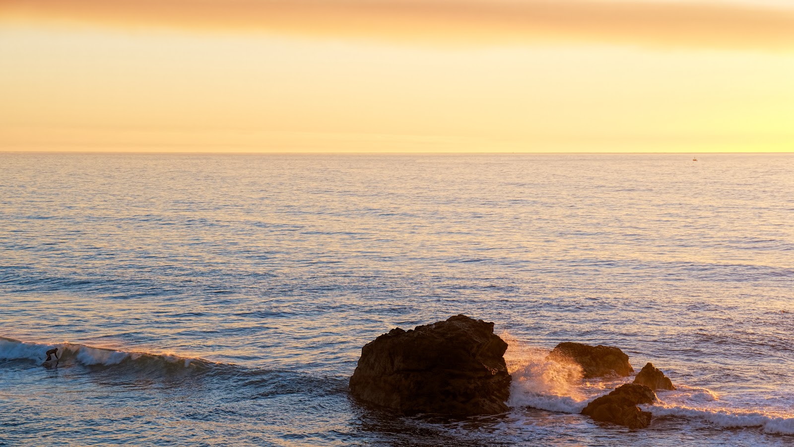 Sunset Surfer Sunset Surfer