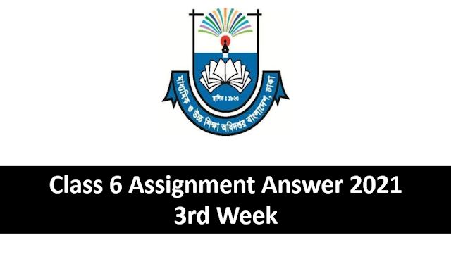 Class 6 Assignment Answer 2021, 3rd weekAssignment Answer