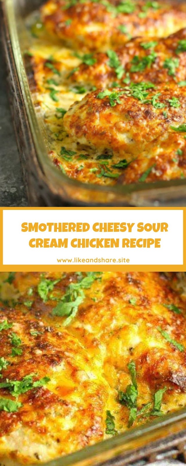 SMOTHERED CHEESY SOUR CREAM CHICKEN RECIPE SMOTHERED CHEESY SOUR CREAM CHICKEN RECIPE