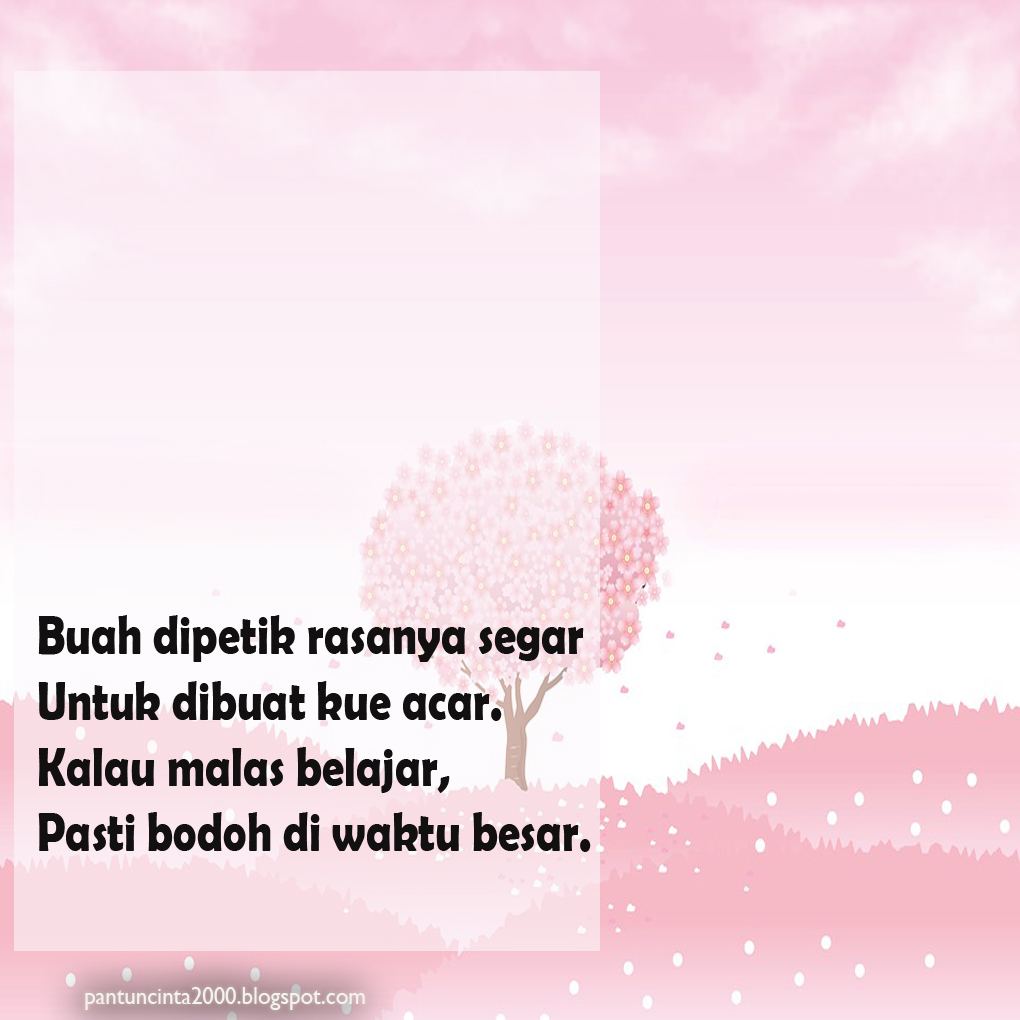 Perhatikan kutipan pantun berikut