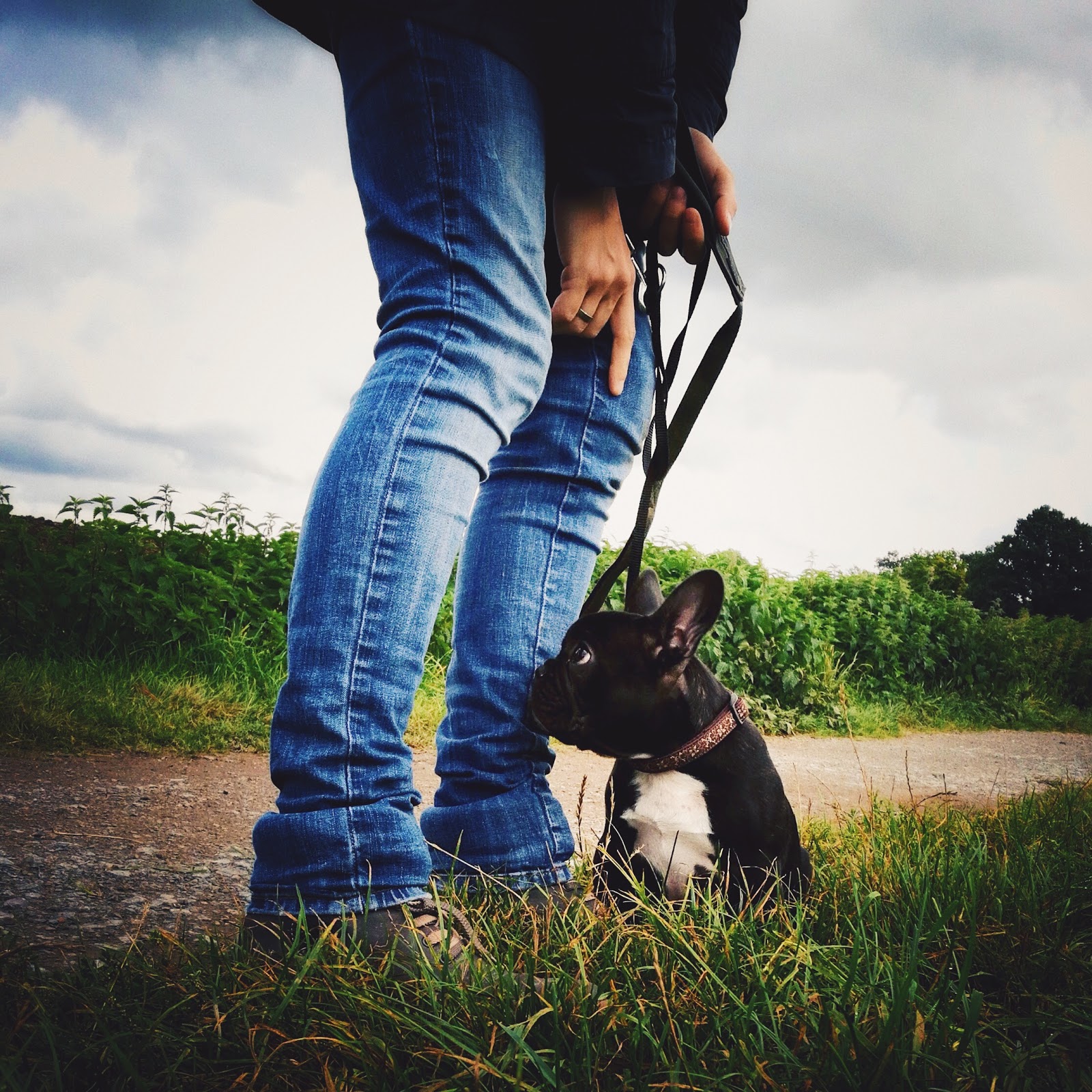 Burgerportal Bergisch Gladbach Nachrichten Hintergrunde Termine