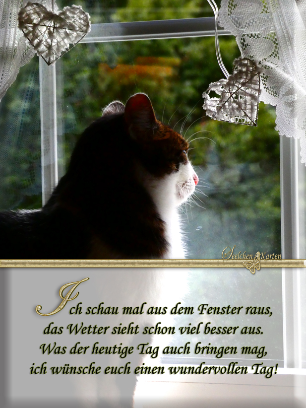 Seelchen Karten und Collagen Was der heutige Tag auch