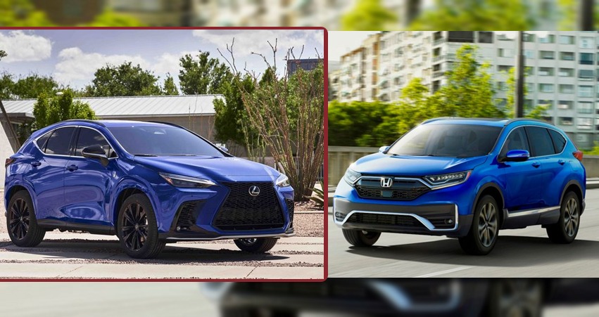 2022 Honda Cr V Vs 2022 Lexus Nx Which Is Better