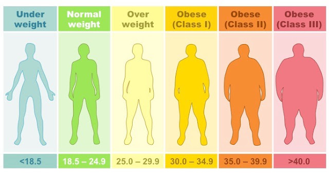 Hasil gambar untuk kalkulator bmi