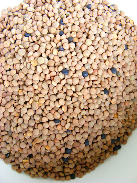 Pink lentils from the Berry. France. Photo by Loire Valley Time Travel.