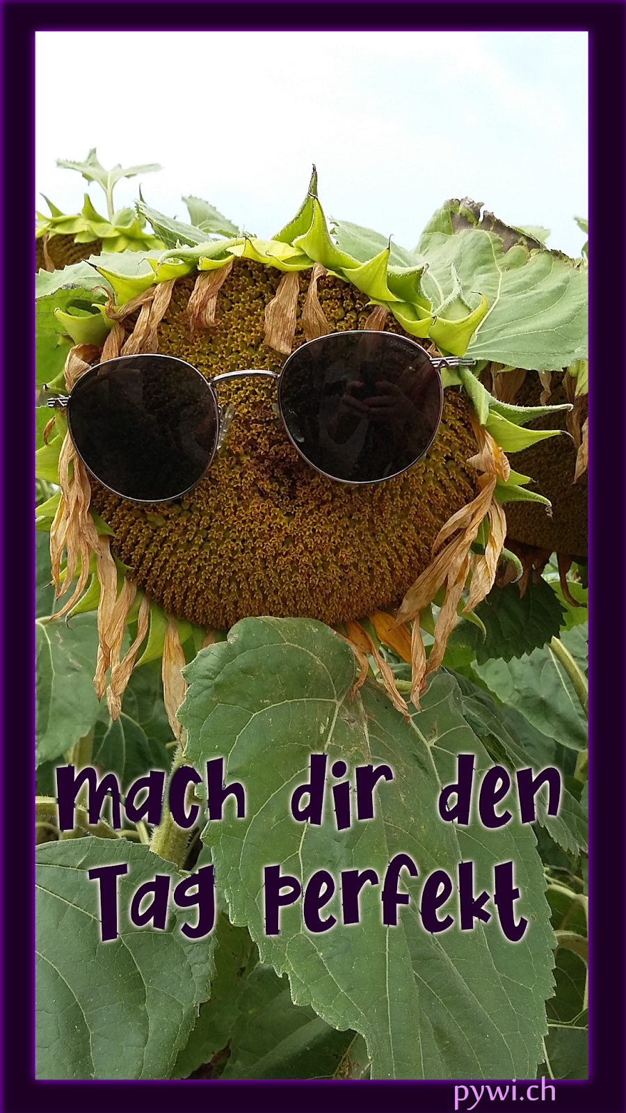 Get Samstag spruchbilder Desktop Wallpaper Free Samstag Spruchbilder