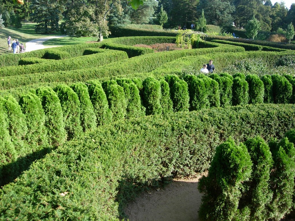 The Dilettante Photographer: Morton Arboretum - I, Chicago