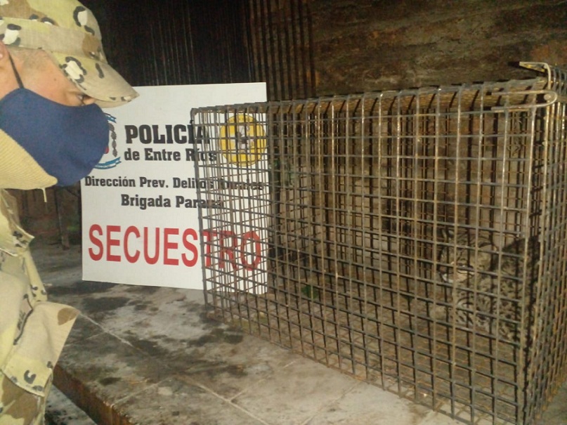 WhatsApp%2BImage%2B2021-05-25%2Bat%2B20.19.49