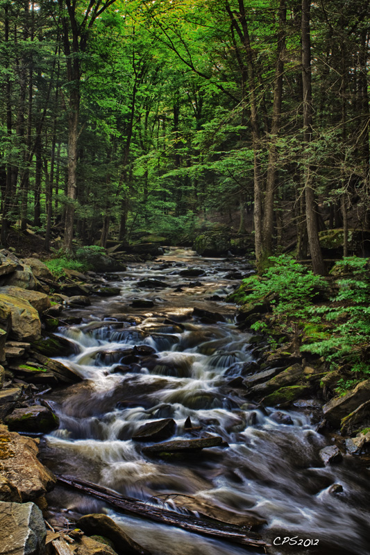 Artistic Balance Trout Brook Near the Delaware River Sullivan County,NY