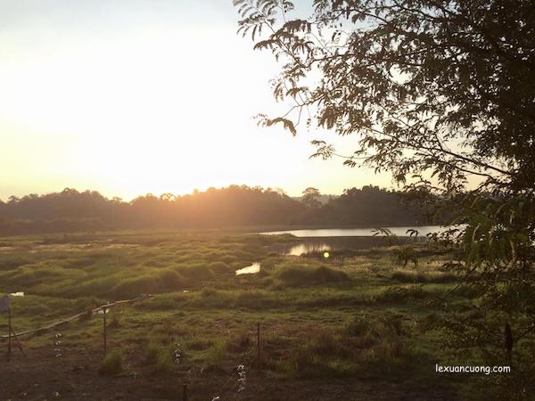 Buổi sáng ở Bàu Sấu tại Rừng Nam Cát Tiên, Đồng Nai