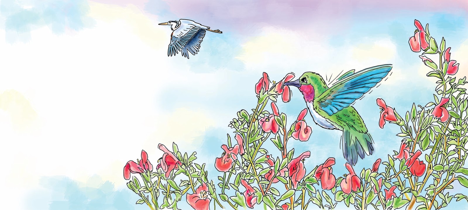 lisasmasterpieces Why Do Hummingbirds Drink Nectar?