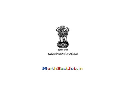 Diphu Medical College Final Select List 2019 - Posts of Grade-IV Diphu Medical College Final Select List 2019 - Posts of Grade-IV