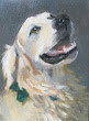 Send me a photo of your pet. Portrait completed in 2-3 weeks. klbmarch@aol.com