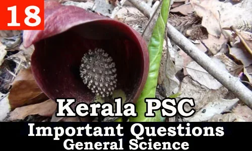 Kerala PSC - Important and Expected General Science Questions - 18