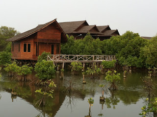 Hutan Mangrove, Destinasi Wisata Untuk Hilangkan Penat Di Ujung Jakarta