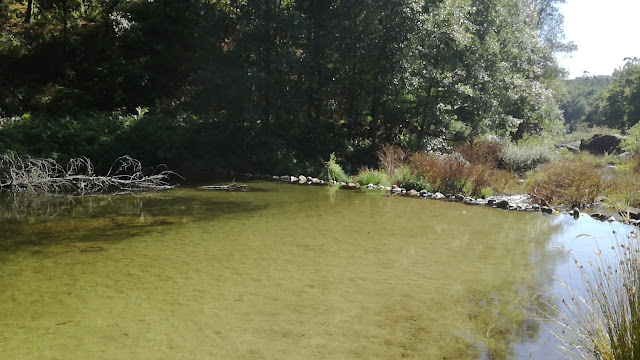 Zona fluvial para crianças Zona fluvial para crianças