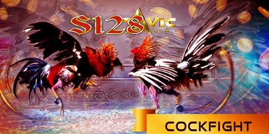 WEBSITE AYAM SABUNG S128 APK TERBAIK DI INDONESIA - fipperbet.xyz ayam sabung