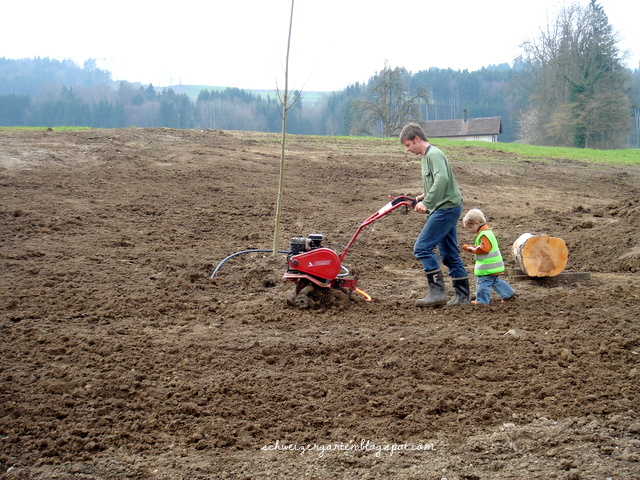 Ein Schweizer Garten: Vertikutiert ihr noch, oder düngt ihr schon?