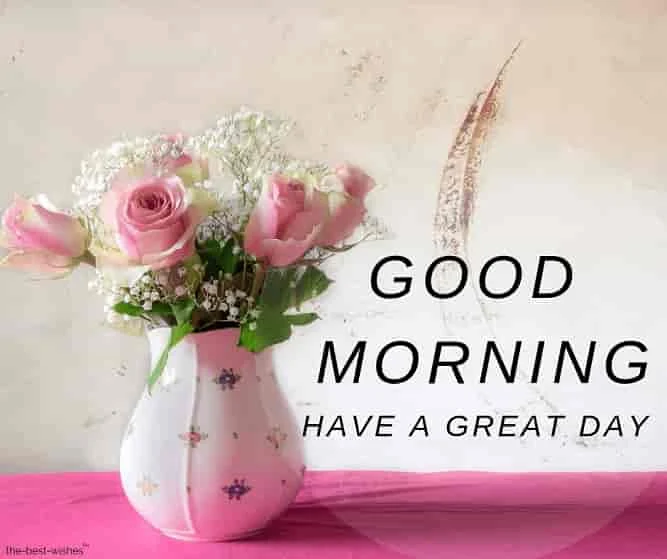 good morning with lovely rose pot