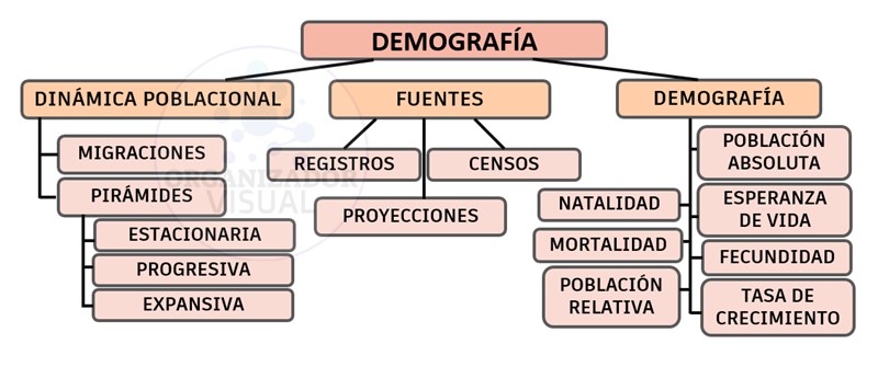 Demografía | Mapa conceptual