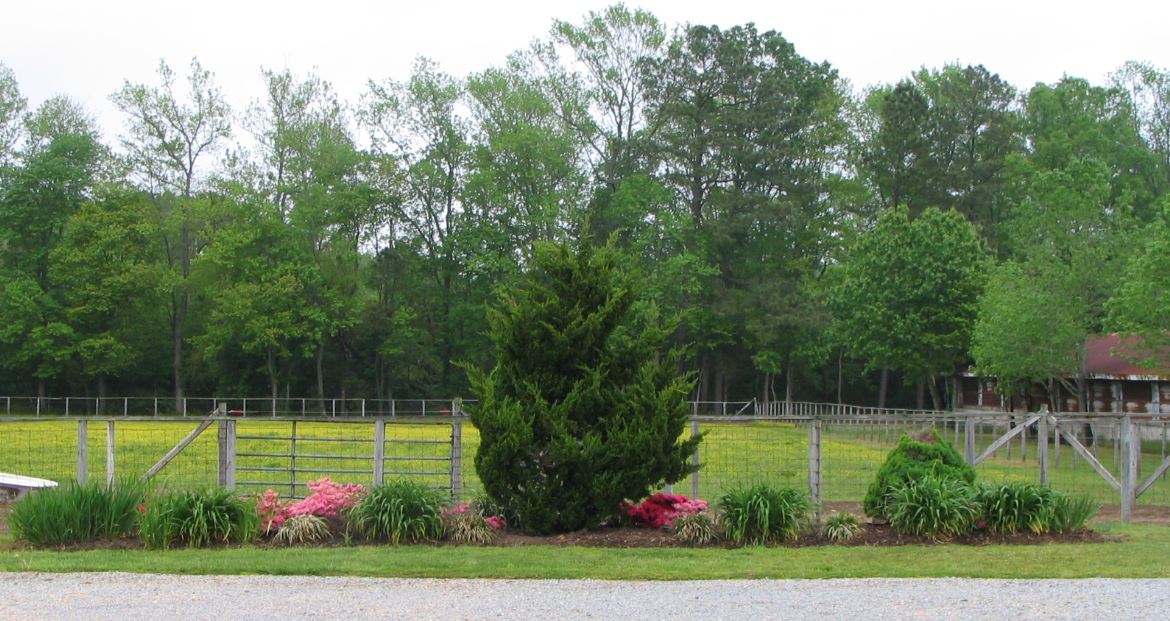 Pullin' Chocks Remembering Cloverland Ranch