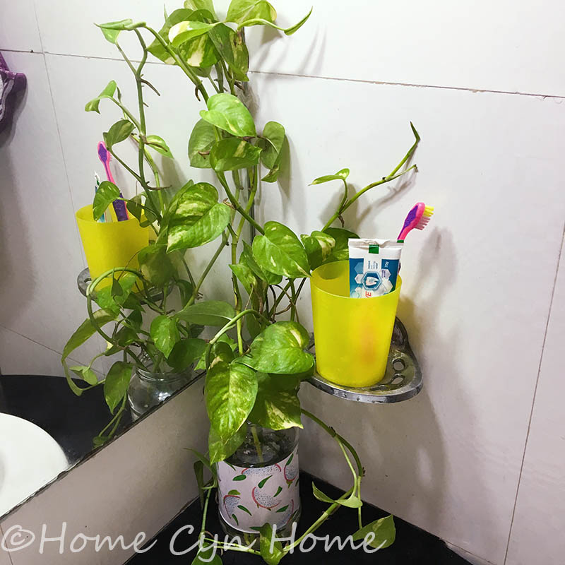 Bathroom Plant Decor And A Free Printable Home Cyn Home