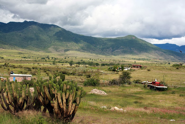 teotitlan del valle oaxaca mexico