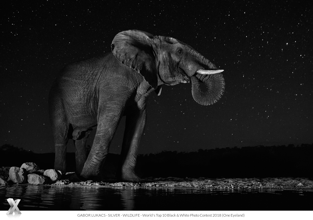 Luxury Interior Design, Architecture and Lifestyle Top