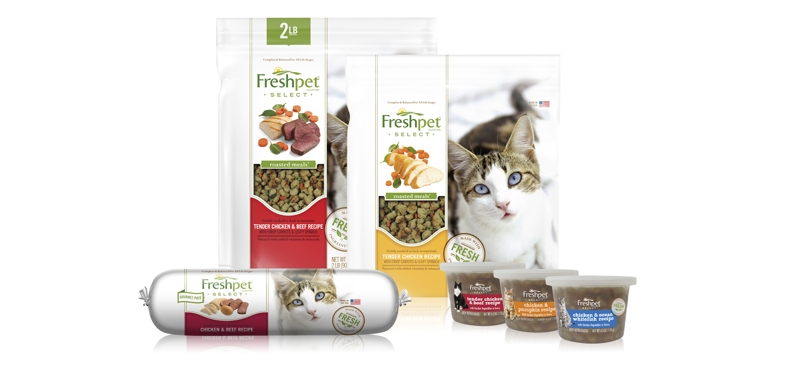 Edge of Insanity Cats love Freshpet and so do I! {Giveaway}
