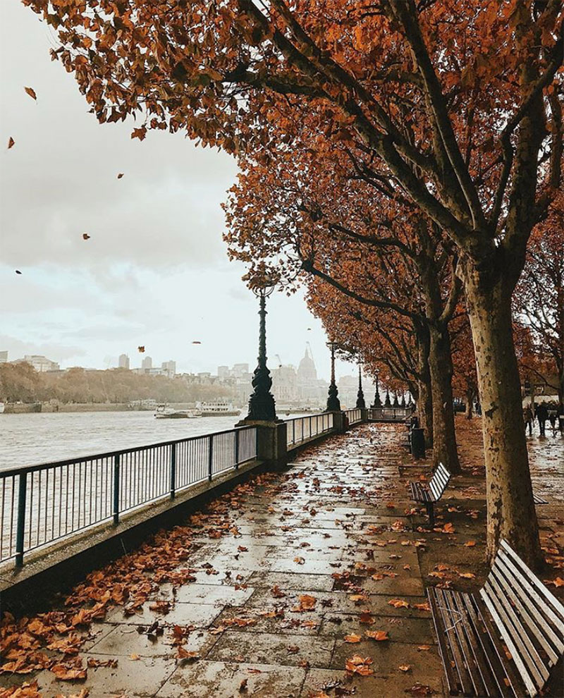 From Instagram | 10 Images With: Angela Mugnai, London