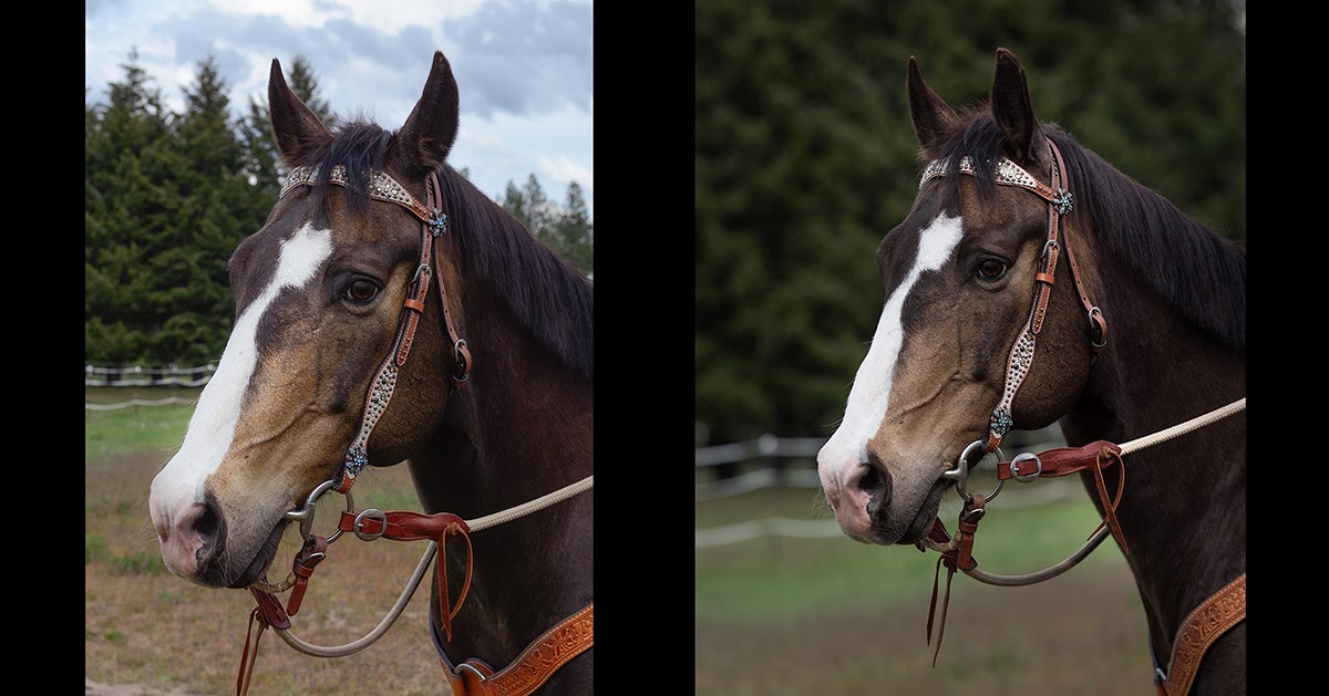 Lens Compression A Tale of Two Lenses