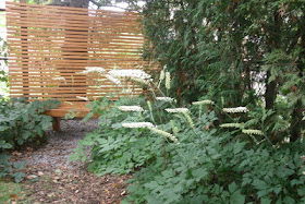 white pearl bugbane cedar zen bench and screen by Paul Jung Gardening Services Toronto