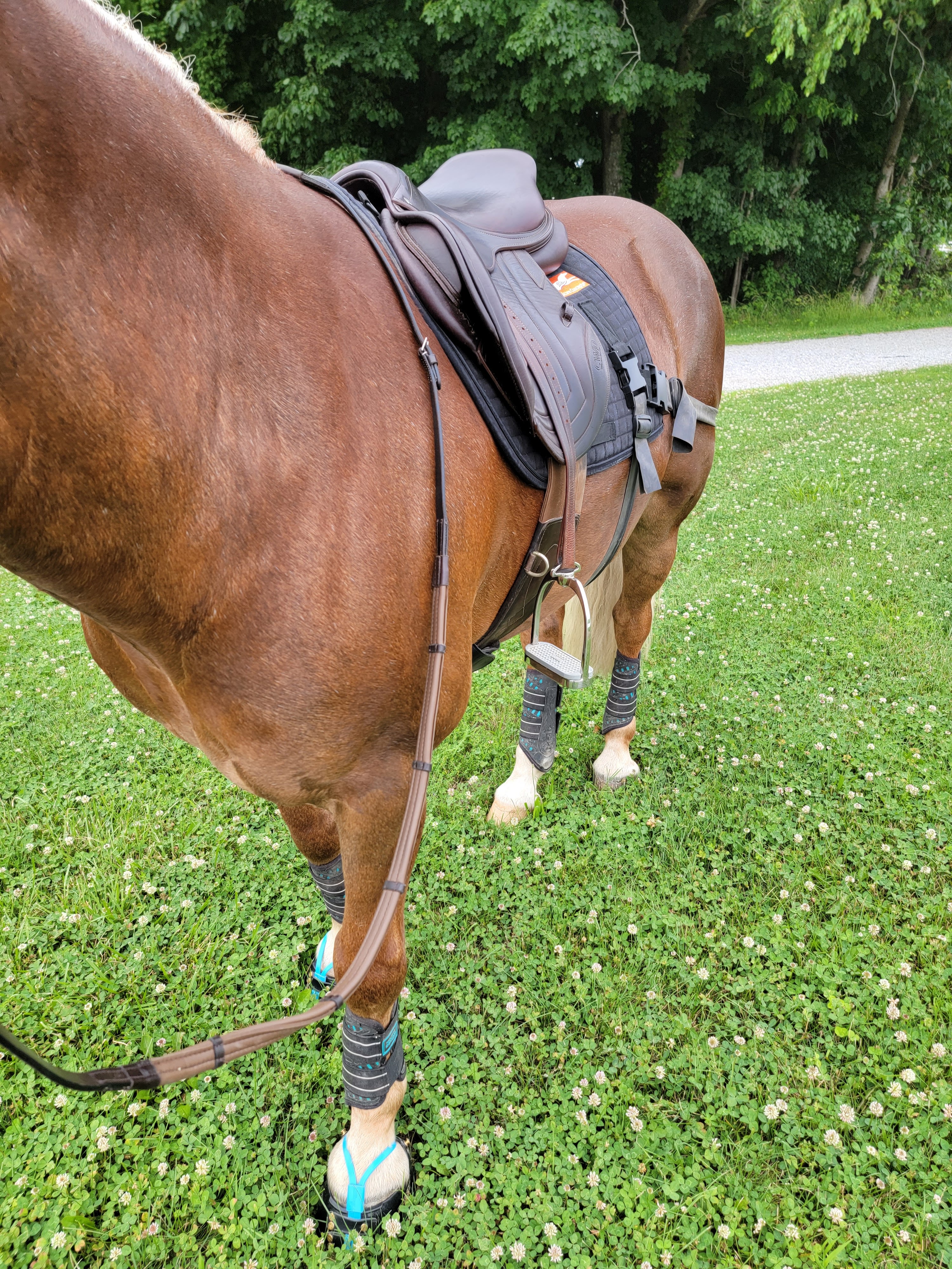 Ariat 114241 hotsell