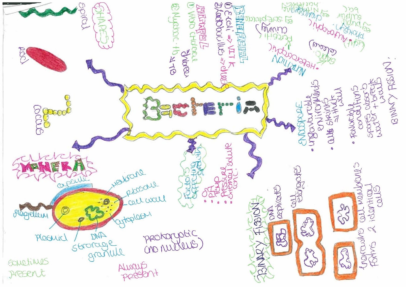 ментальная карта вирусы