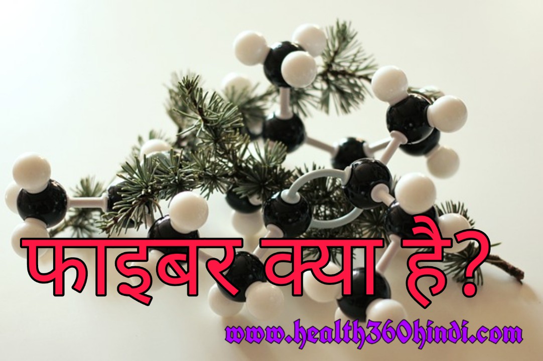 आहार फाइबर क्या है? What is Dietary Fiber in Hindi
