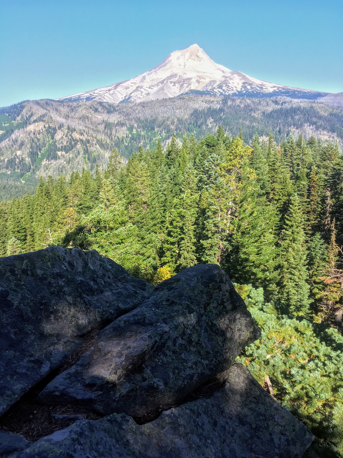 Badger Creek Wilderness run