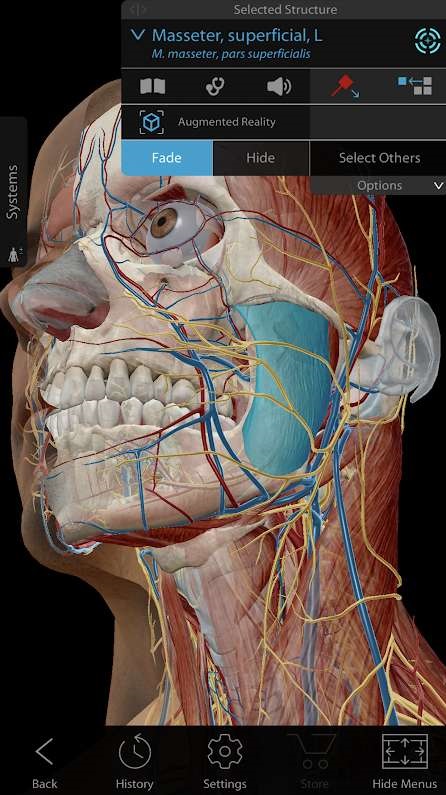 human anatomy atlas app free for iphone