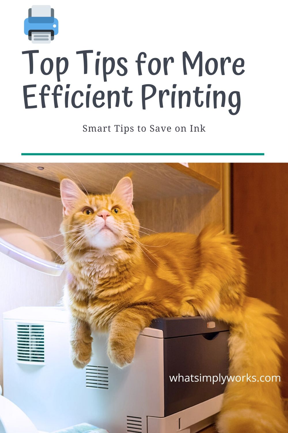 cat printer, Top Tips for More Efficient Printing