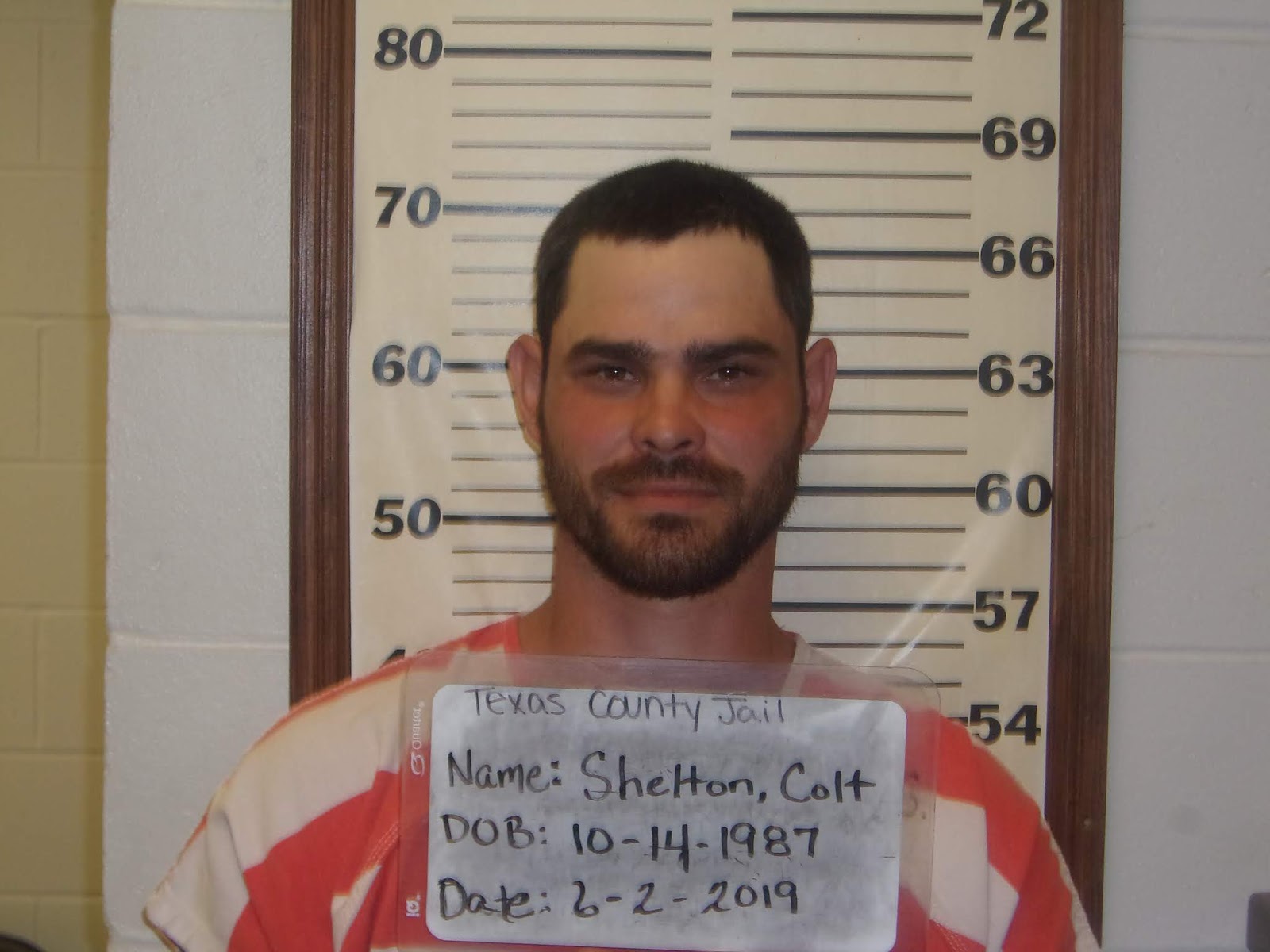 Domestic Assault/Unlawful Restraint