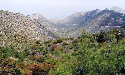 ΚΥΠΡΟΣ : Η ΜΑΧΗ ΣΤΟ ΚΟΤΖΑΚΑΓΙΑ Σάββατο, 20 Ιουλίου 1974.  