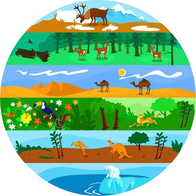 Keanekaragaman Hayati Tingkat Spesies Keanekaragaman Tingkat Ekosistem