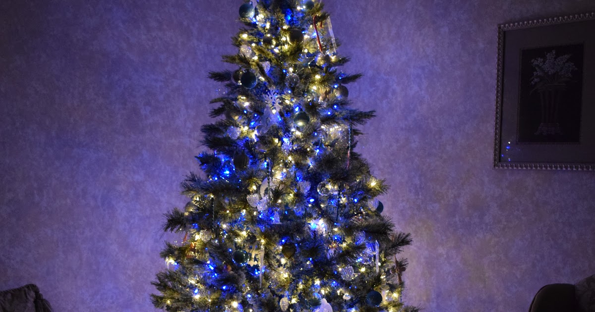 Meet A Tree Why do we decorate trees to celebrate Christmas?